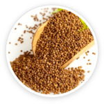 Dodder Seed